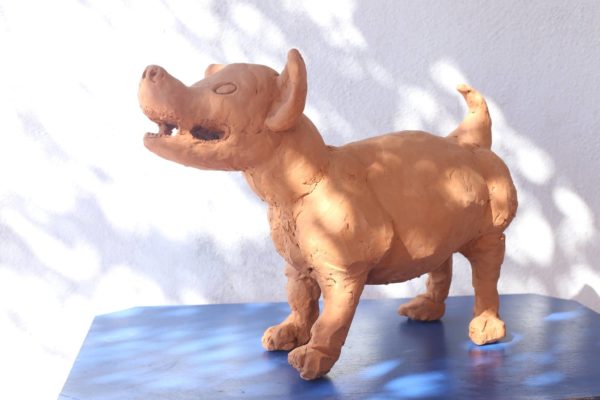 Dog 2019